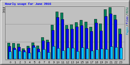 Hourly usage for June 2016