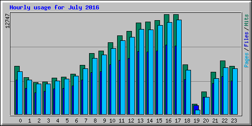 Hourly usage for July 2016