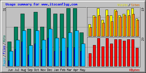 Usage summary for www.itscanflyg.com